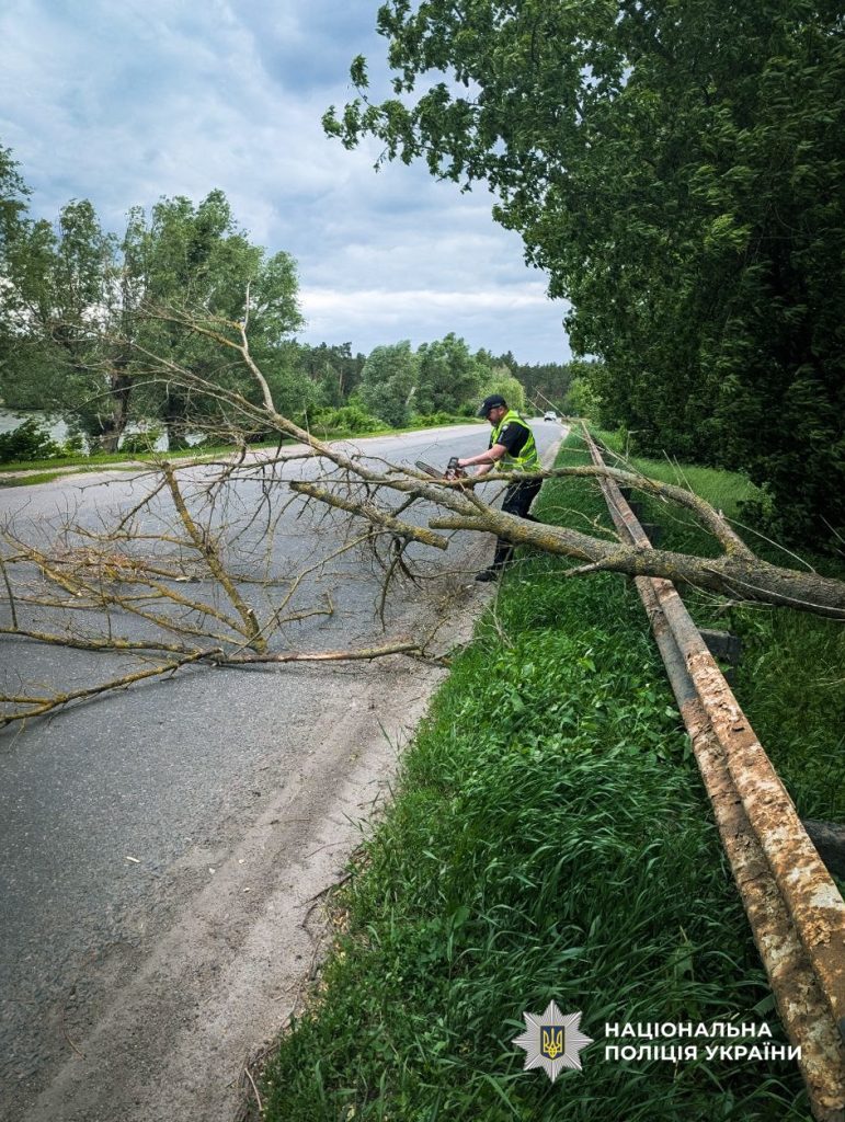 дерево