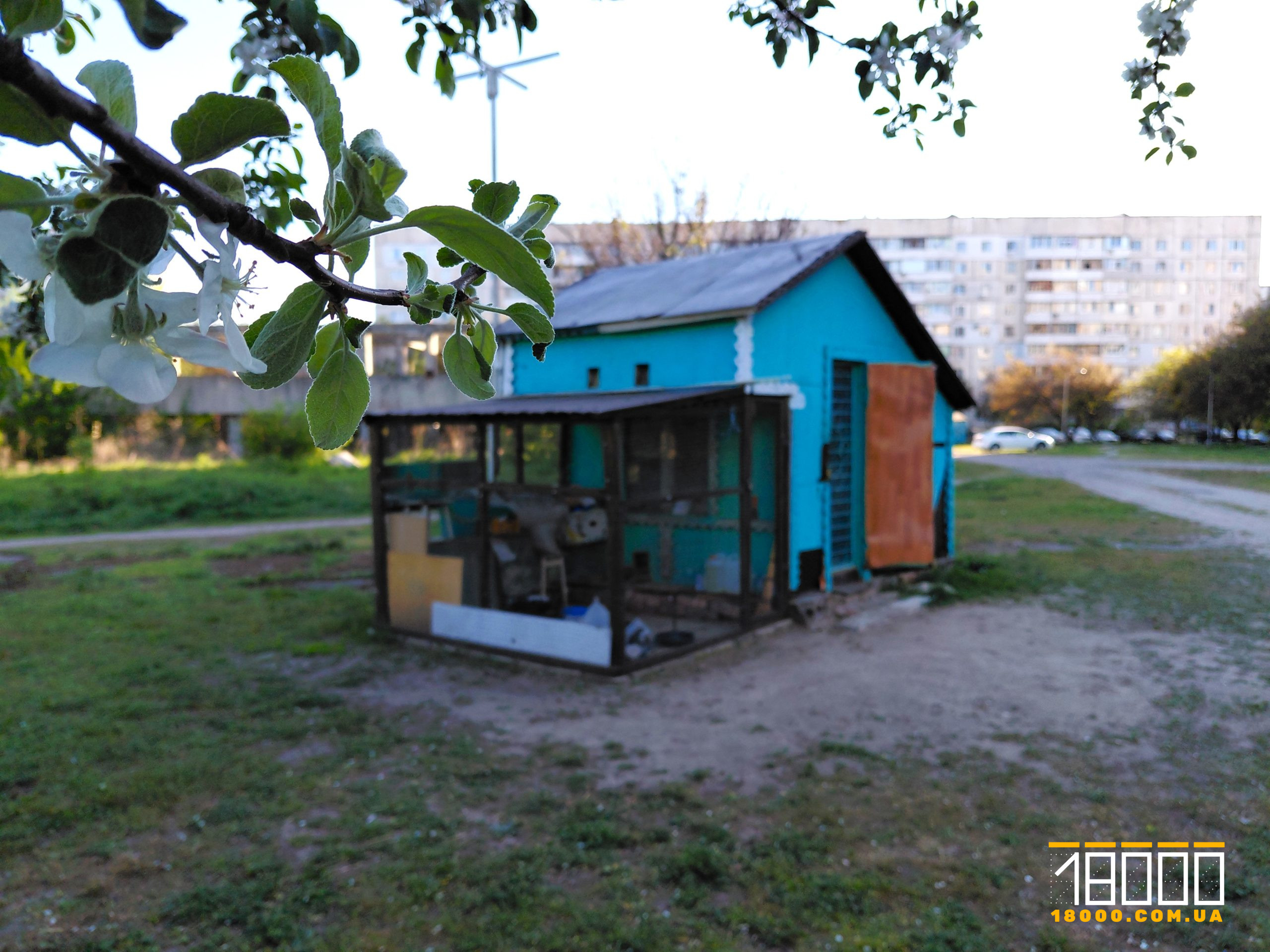 Голубник Черкаси