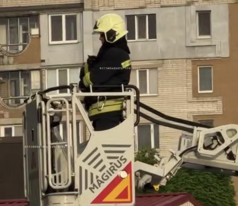 Вусата спецоперація: у Черкасах врятували кота, який заліз на дерево