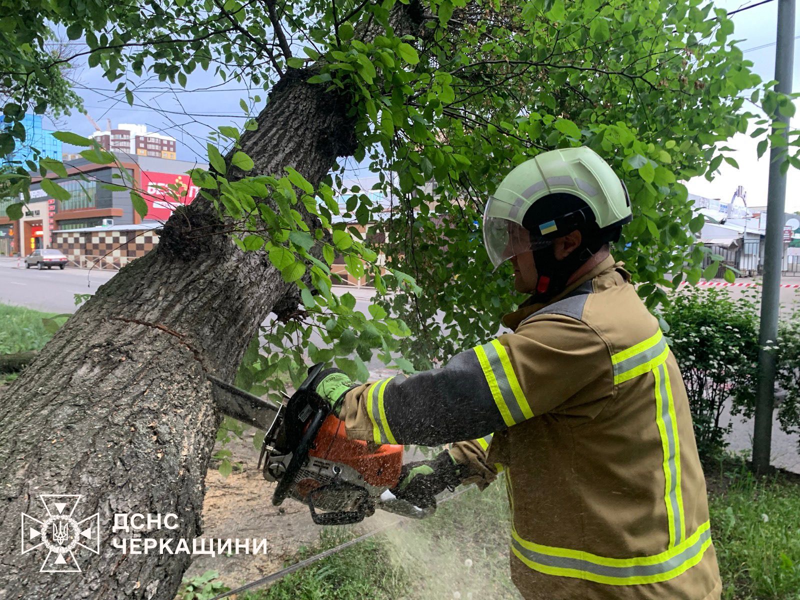Рятувальники прибирали повалені через негоду дерева на дорогах Черкащини