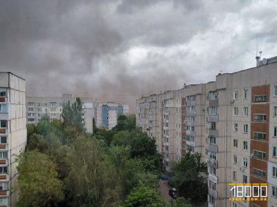 пиловий переніс