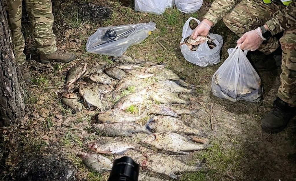 риба на землі