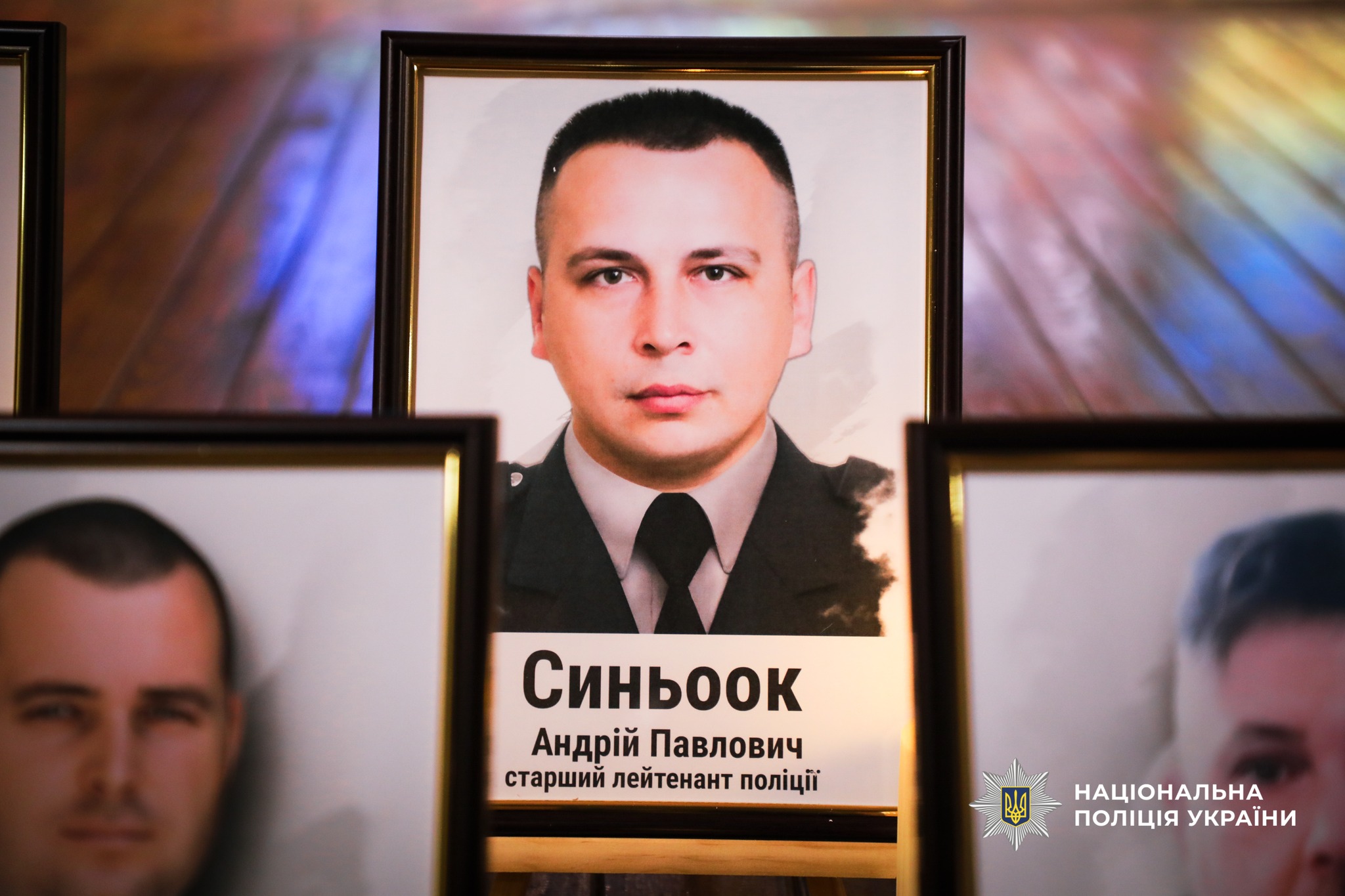 Андрій Синьоок