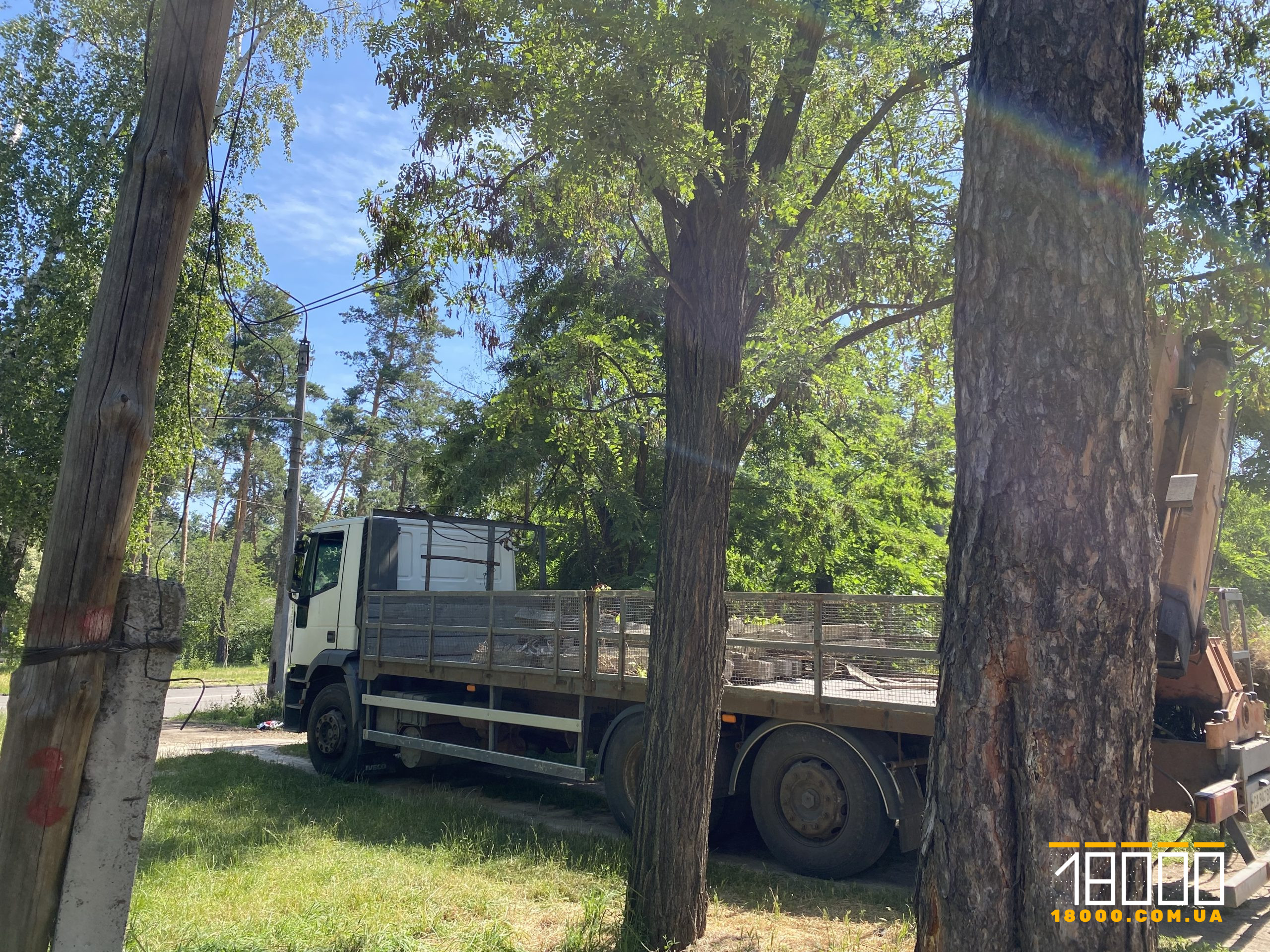 вантажівка в лісі
