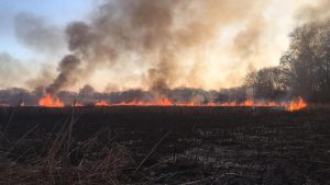 На Черкащині оголосили надзвичайну пожежну небезпеку