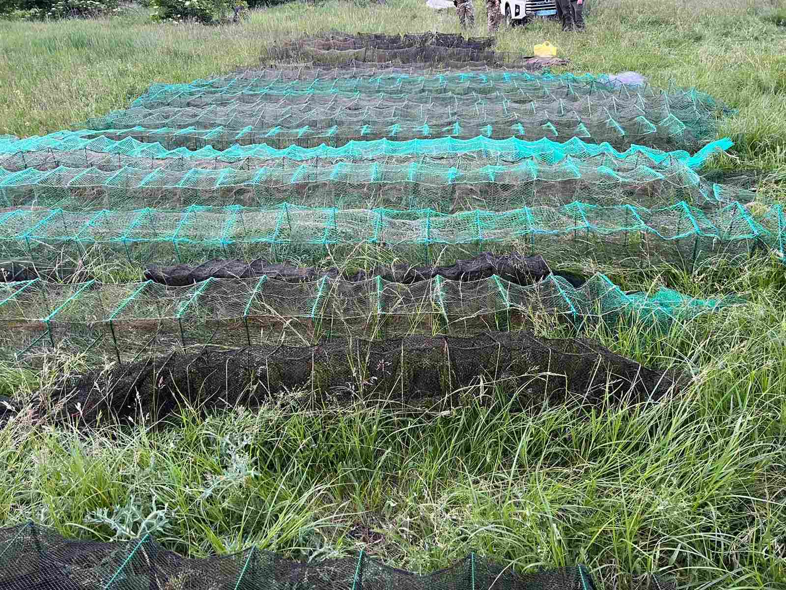 Раколовки