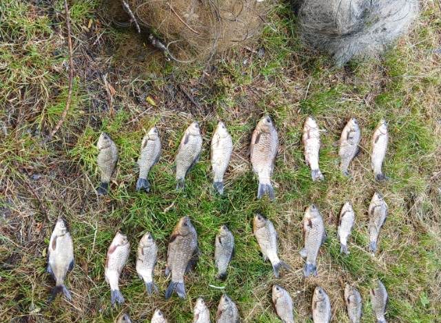 На Черкащині з річки вилучили браконьєрські сітки з понад 20 рибинами в них