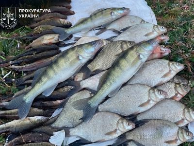 улов риби