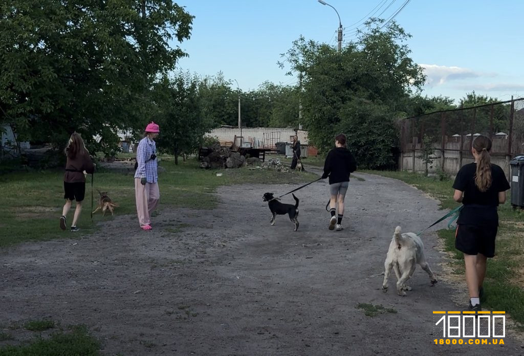 Вигул собак