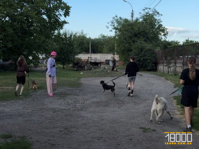 Вигул собак