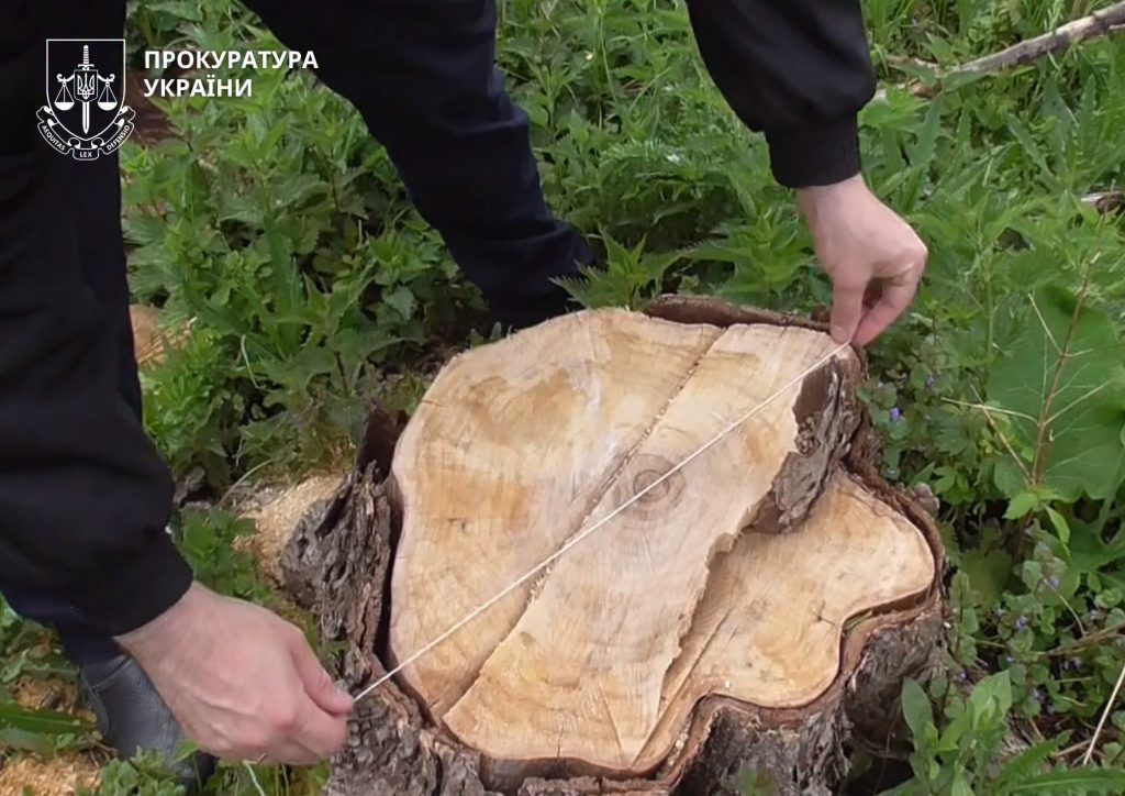 рубане дерево
