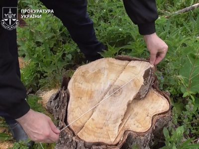 рубане дерево