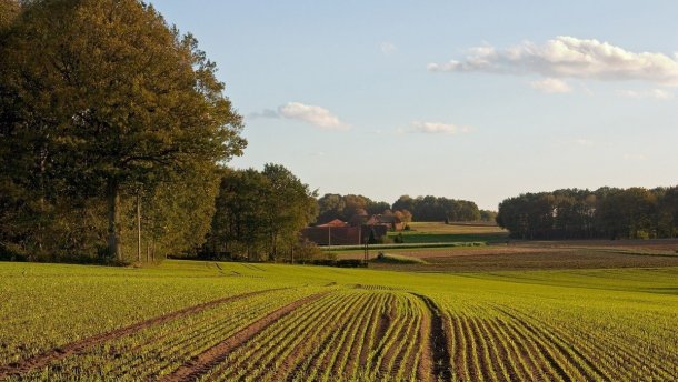Землю на Золотоніщині, що належала росіянину, повернули громаді