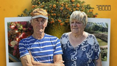 «Хто садить дерева – тому старість не страшна»: як сім’я з Черкащини вирощує абрикоси і ще сотні сортів рослин (ФОТО)
