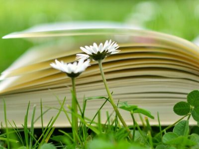 Книга