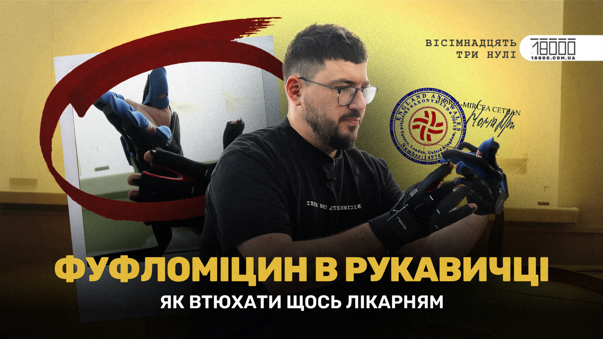 розслідування "18000" схеми Vizion