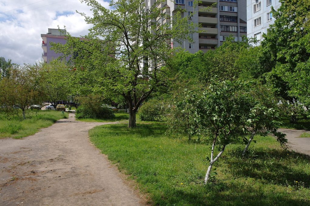 Частина парку "Дніпровський"