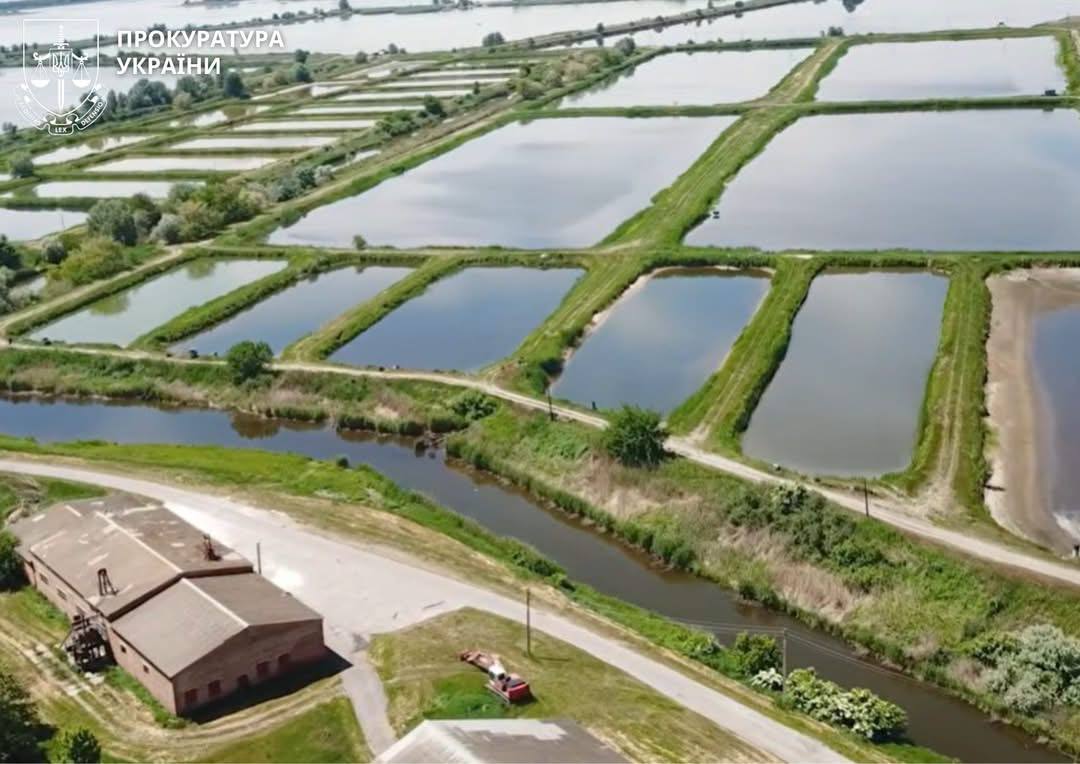 ДП «Іркліївський розплідник рослиноїдних риб»