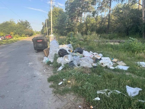стихійне сміттєзвалище на олексія Панченка