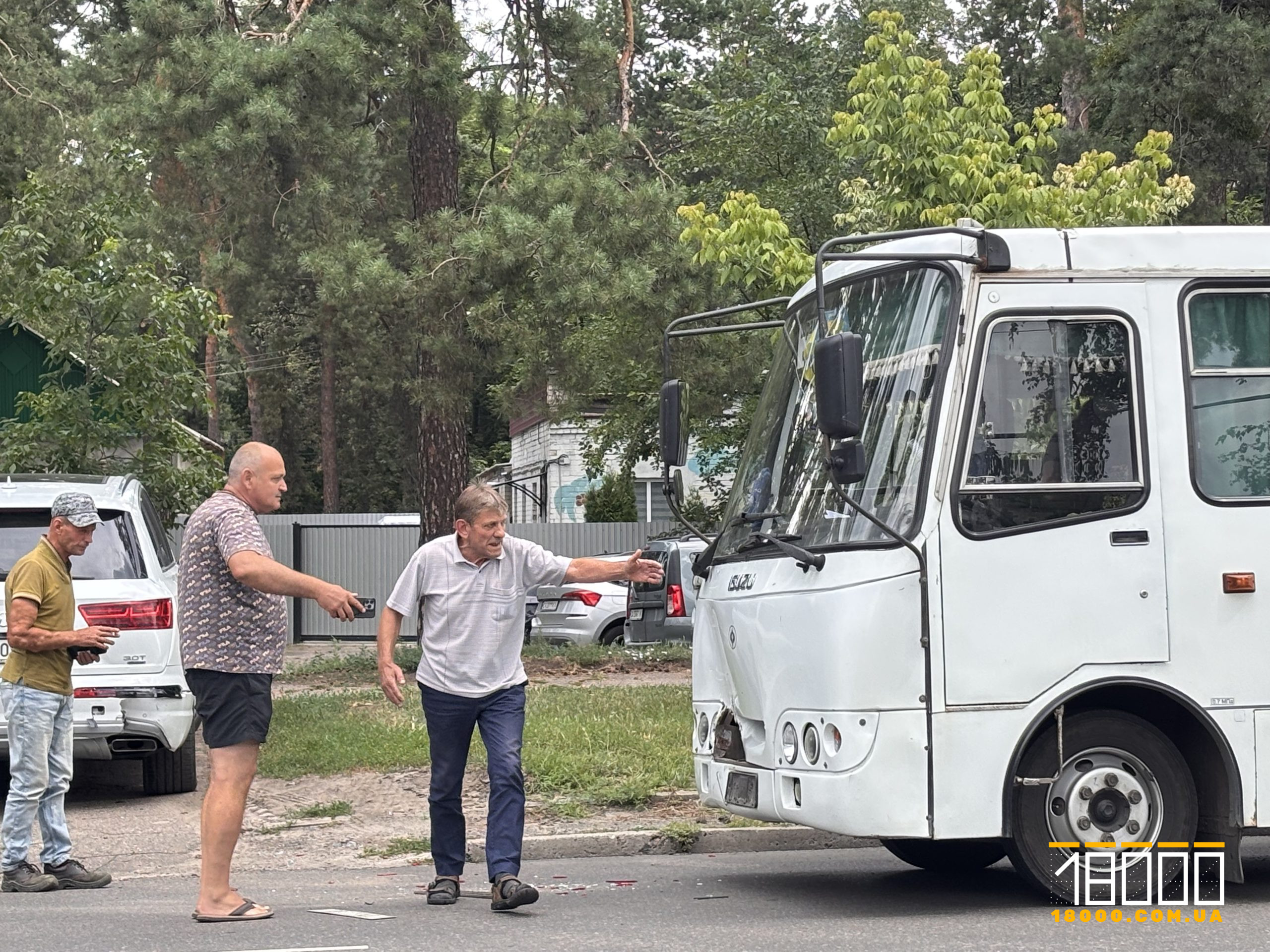 Водії ДТП на Лісовій Просіці