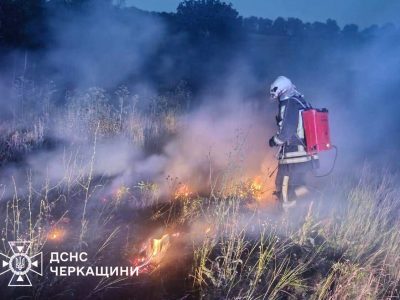 Займання