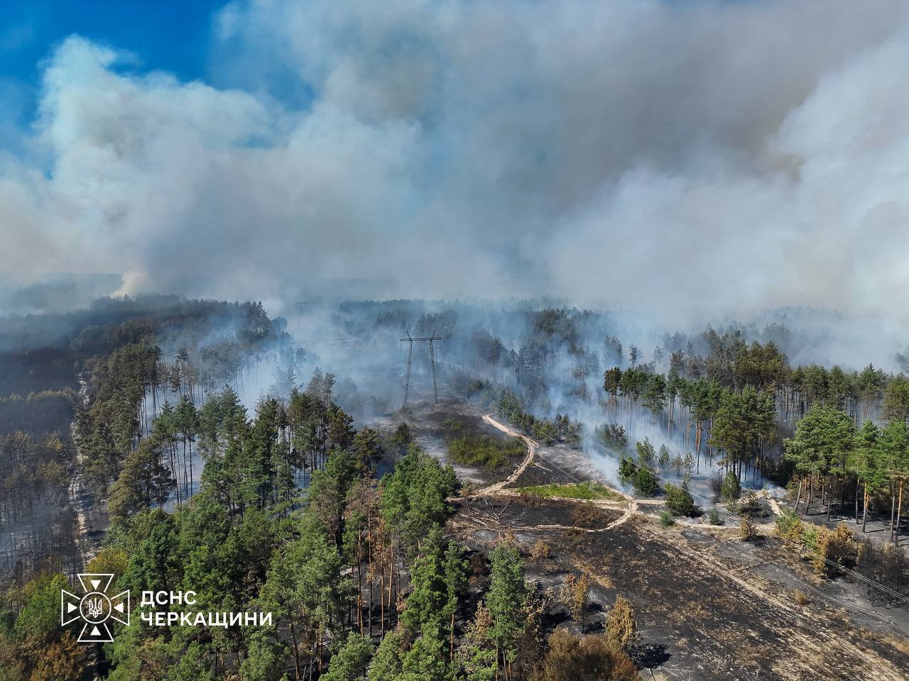 Пожежа на Черкащині охопила понад 200 гектарів (ФОТО)