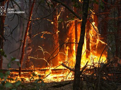 лісова пожежа у Черкаському районі