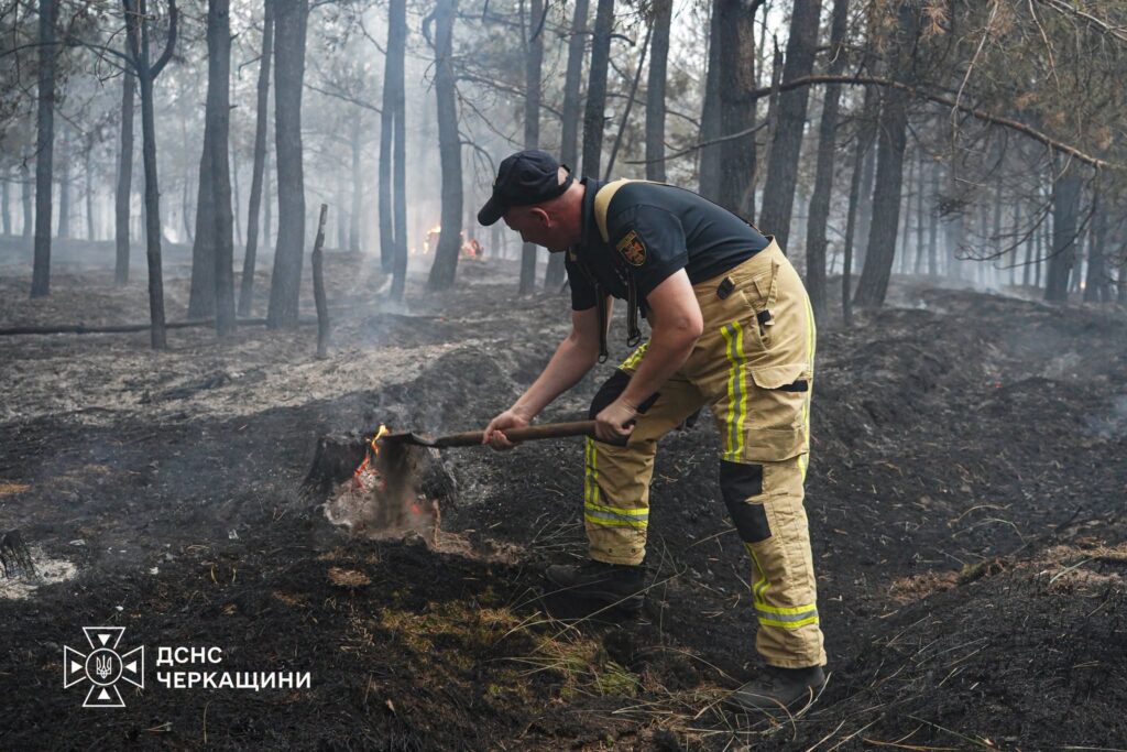 рятувальник на лісовій пожежі