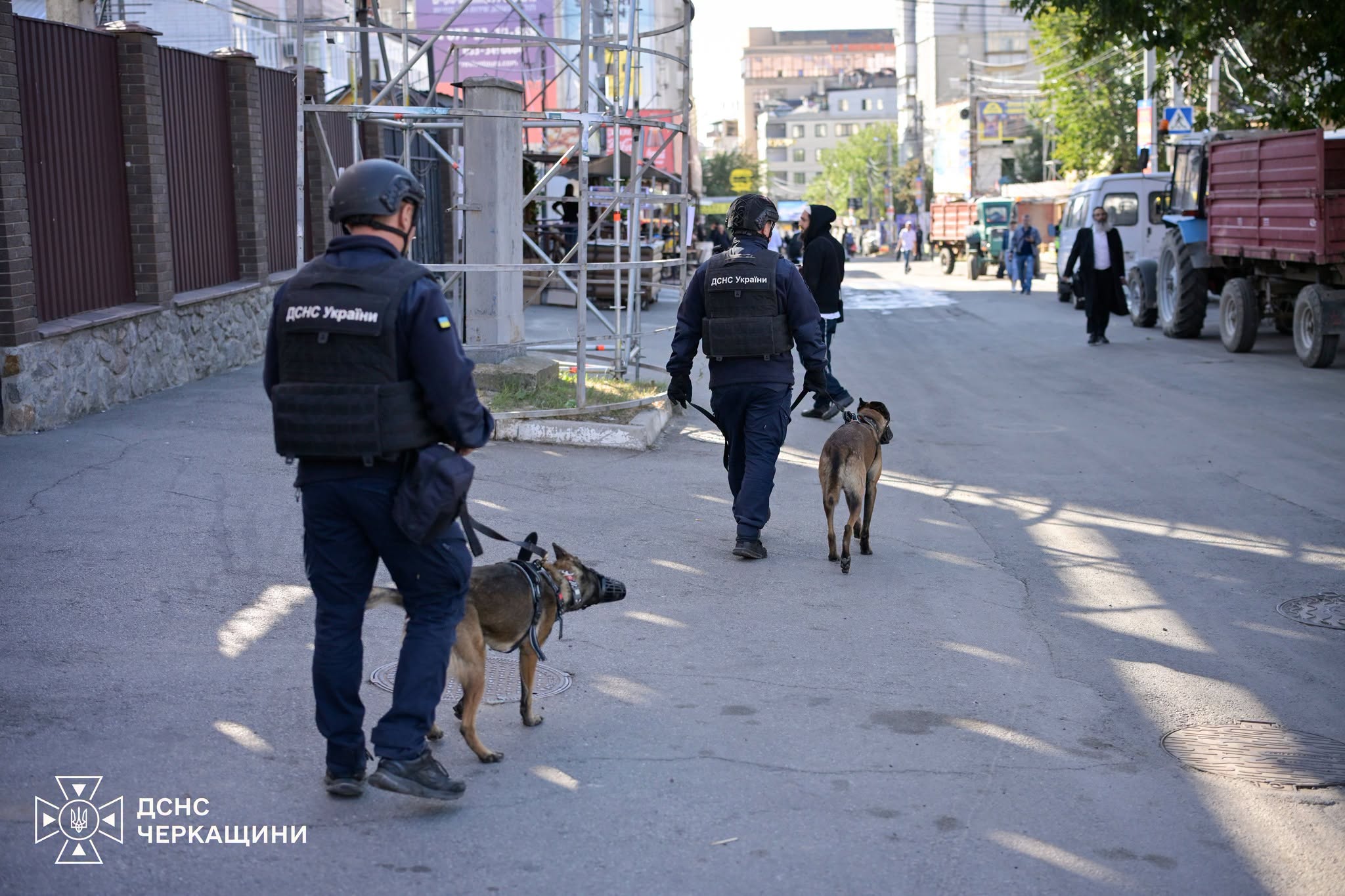 Собаки в Умані