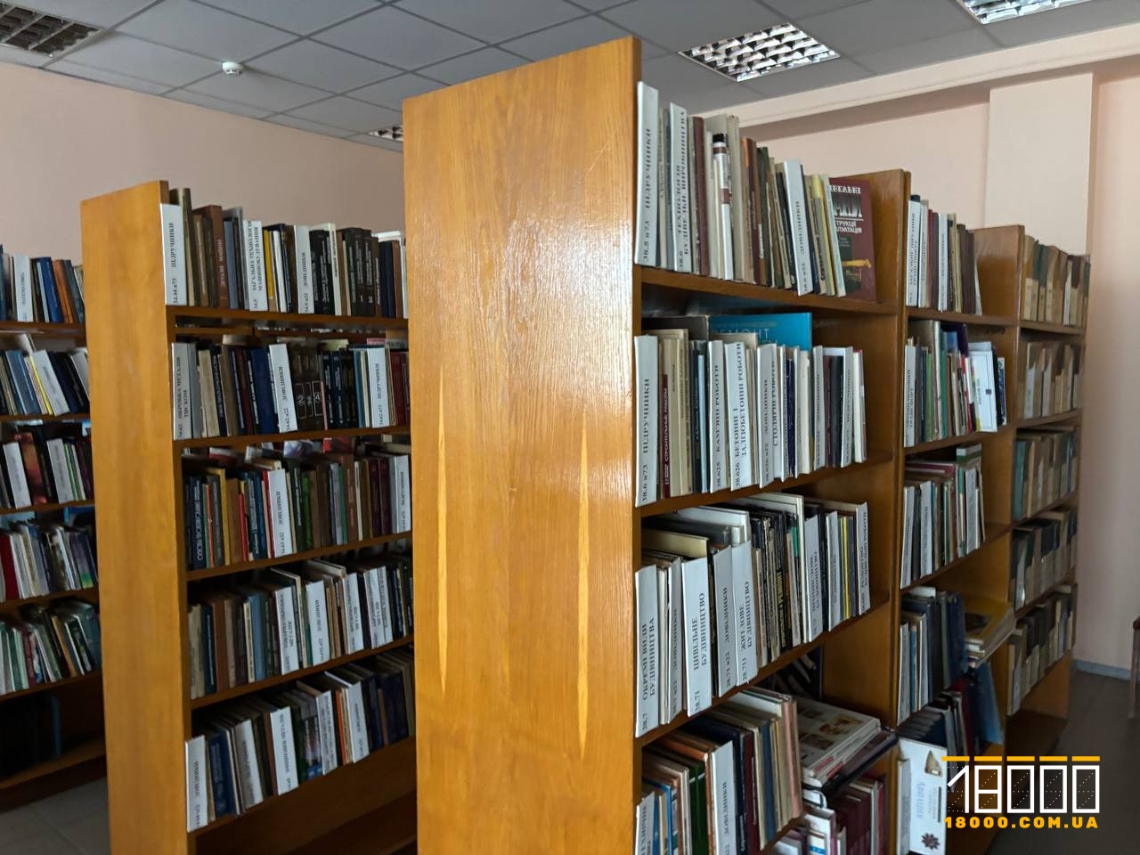 Книги, полиця для книг, бібліотека