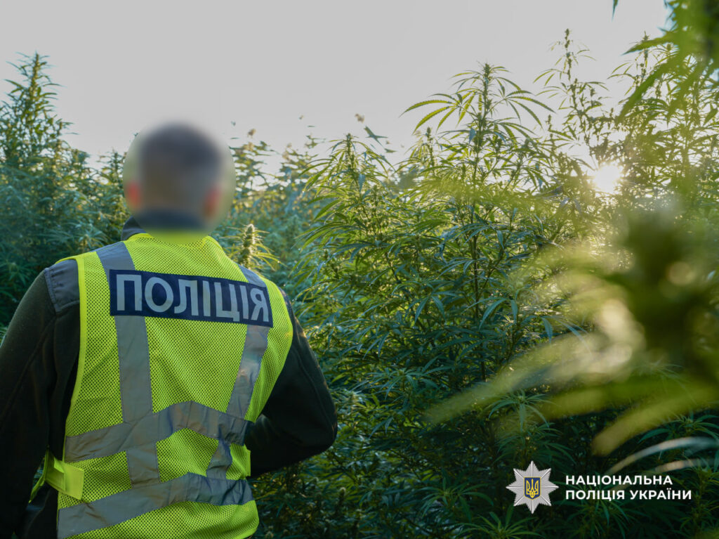 поліцейський в коноплі