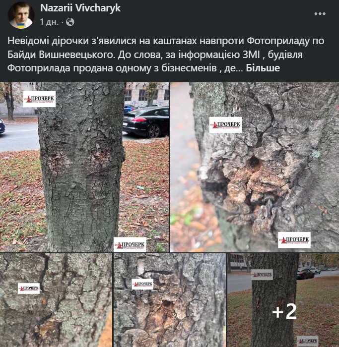 Допис про отвори в каштанах
