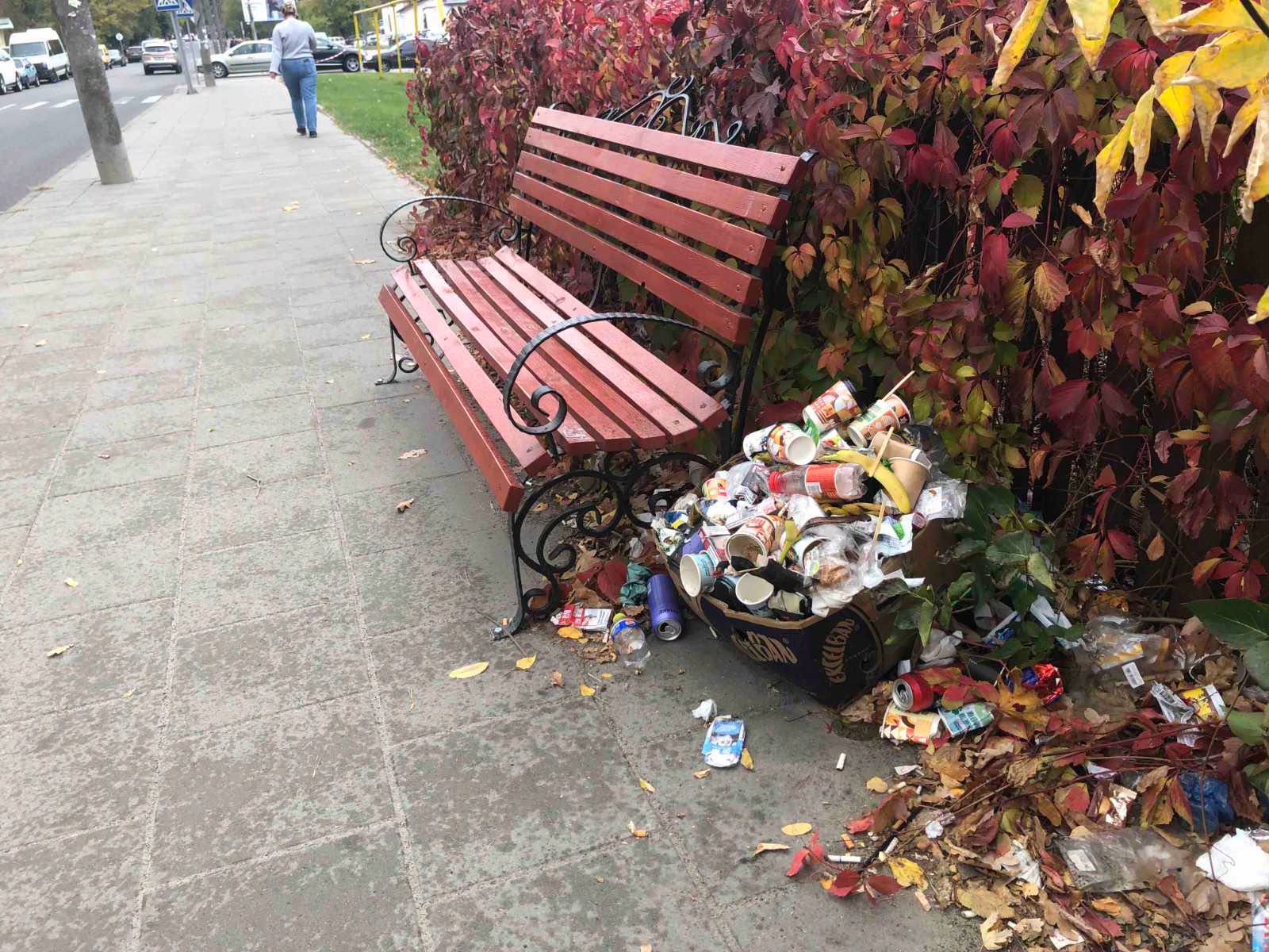Провели понад 130 перевірок благоустрою в Черкасах: що виявили (ФОТО)
