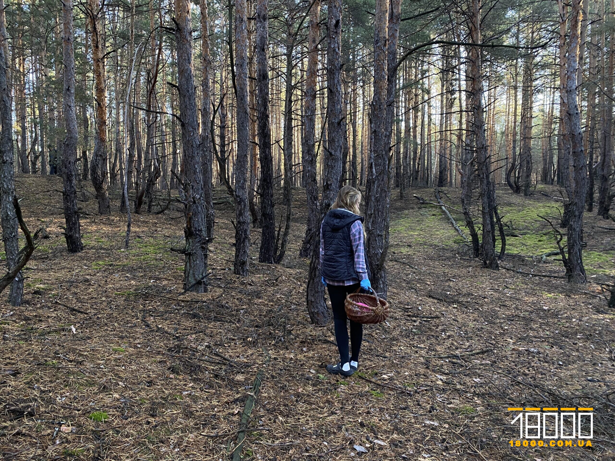 де шукати гриби на Черкащині