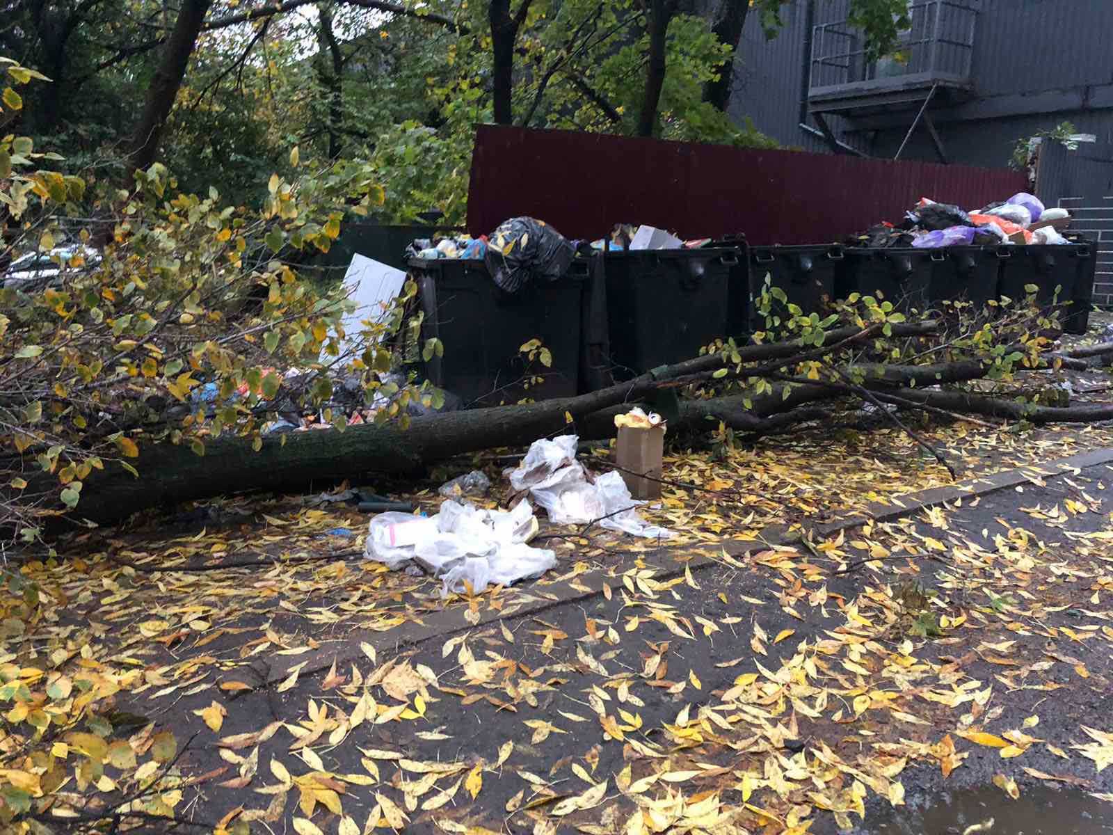 Провели понад 130 перевірок благоустрою в Черкасах: що виявили (ФОТО)